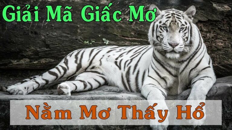 nam-mo-thay-ho