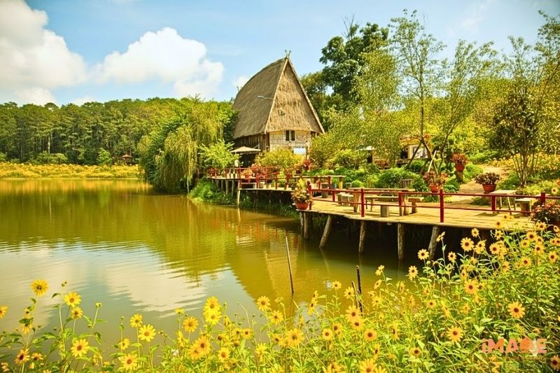 nghi-le-di-dau-cho-vang-goi-y-diem-den-yen-binh-tranh-dong-duc-2026