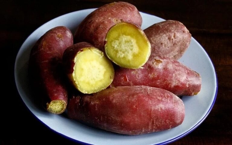 1-cu-khoai-lang-bao-nhieu-calo-3