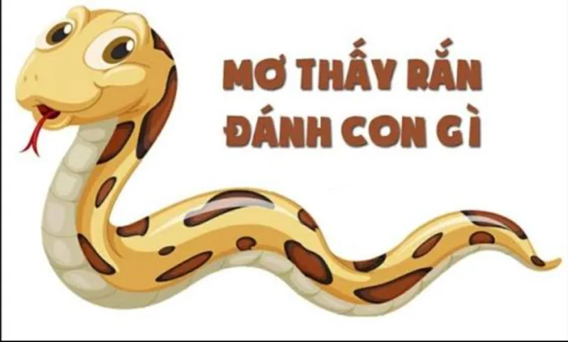 Mơ thấy rắn đánh con gì là cách liên hệ dân gian mang tính giải trí, chưa có bằng chứng khoa học cho thấy giấc mơ dự đoán chính xác kết quả xổ số
