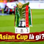 asian-cup-la-gi-vi-sao-giai-dau-nay-duoc-ca-chau-a-cho-doi