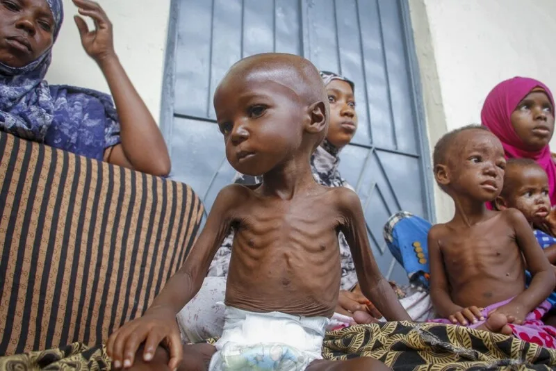 Kinh tế Somalia dựa nhiều vào thương mại, kiều hối và chăn nuôi nhưng thường xuyên bị ảnh hưởng bởi xung đột và hạn hán.